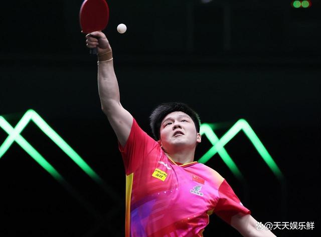 供社会服务 供社会服务